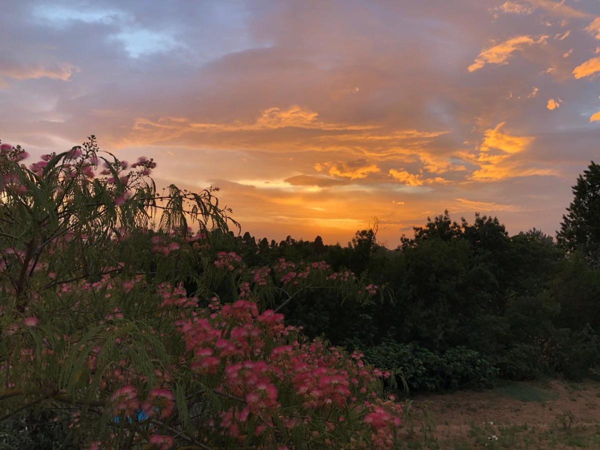 Auberge Gekko Ornaisons ภายนอก รูปภาพ